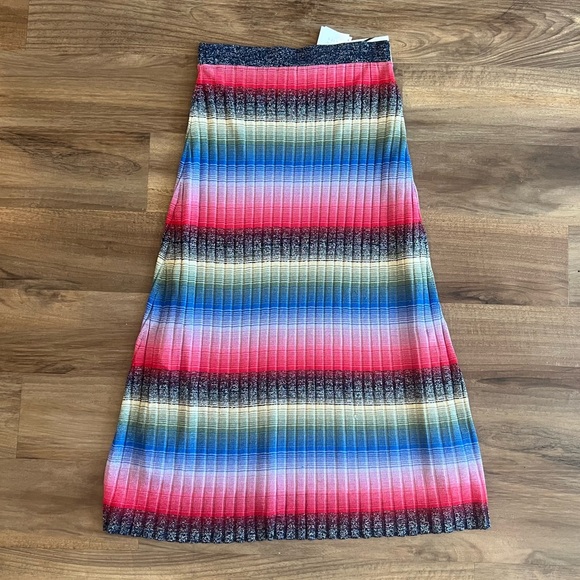 Zara Maxi Skirt - Picture 1 of 4